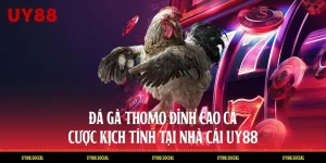 Đá Gà Thomo